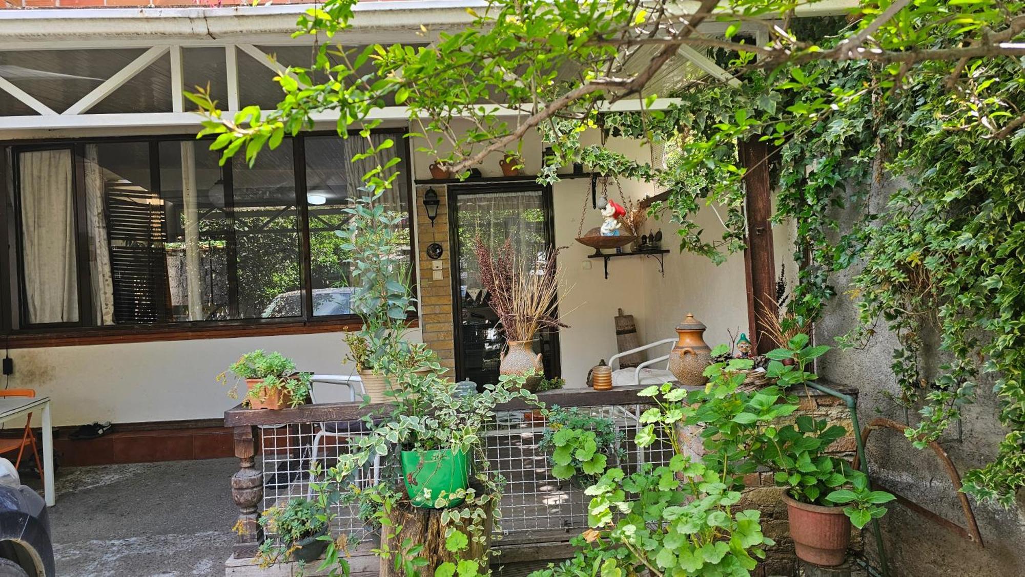 Accommodatie bij particulieren Angie's Shared Tam